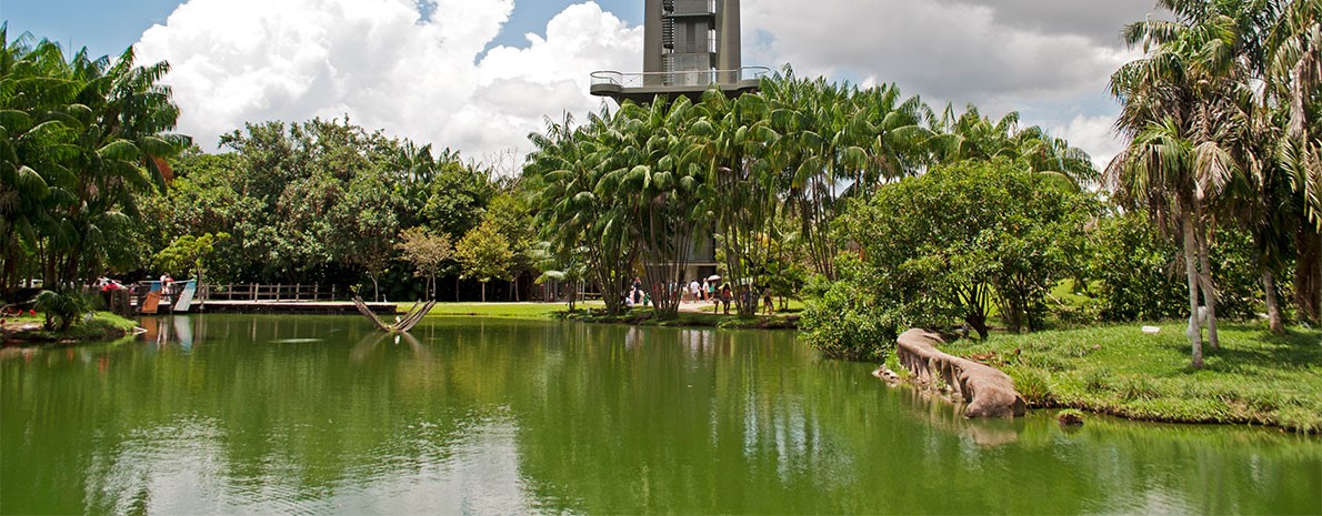 City Tour Ecológico - saída de Belém - Compartilhado